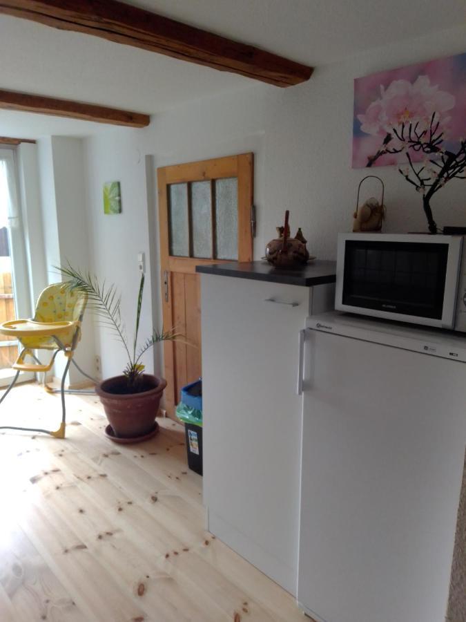 Ferienhaus Schock Thale Exteriér fotografie